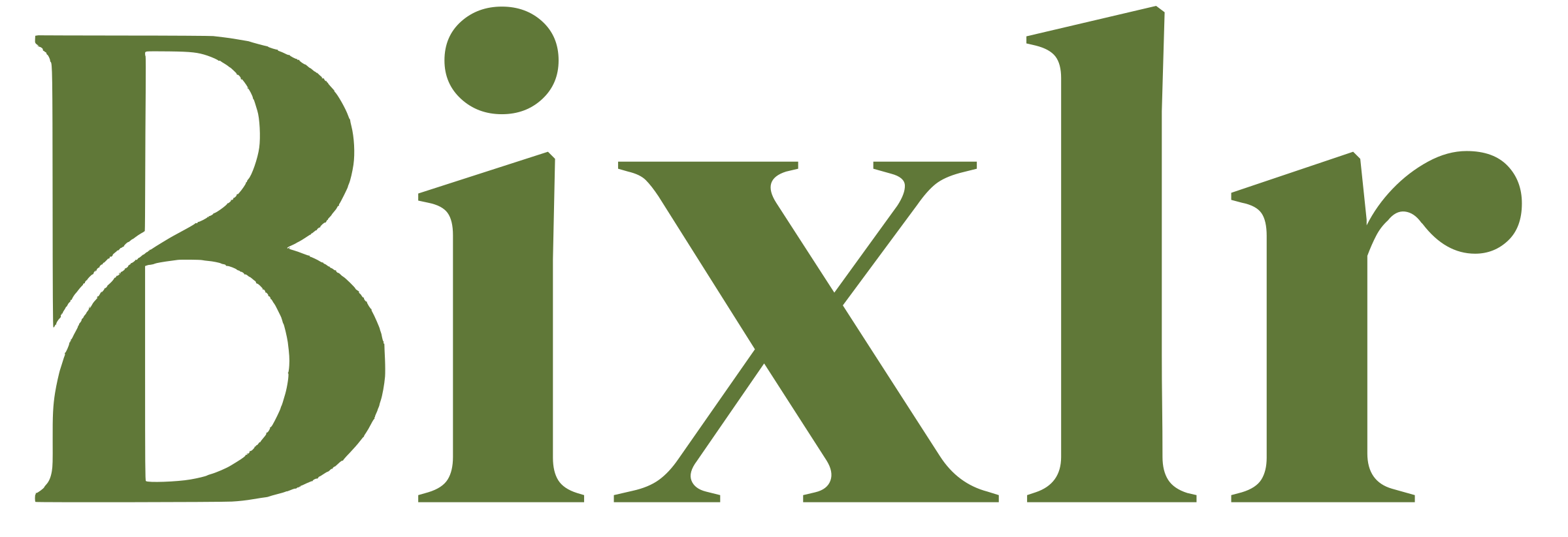 Bixlr CRM